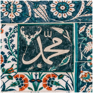 Description de l'image 3